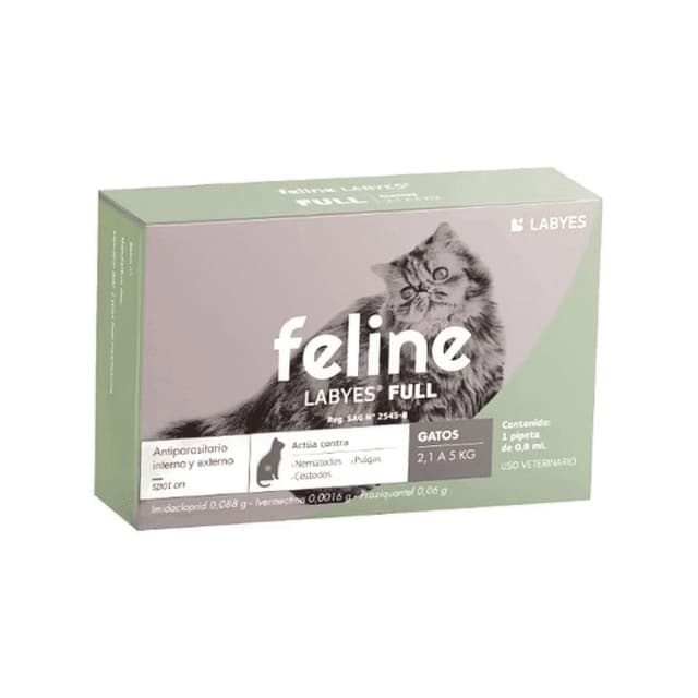 Feline Full Spot 2-5K