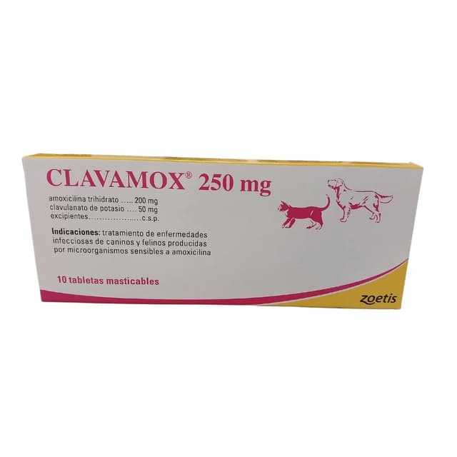 Clavamox 250mg x10