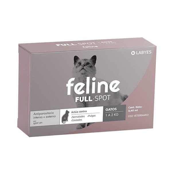 Feline Full Spot 1-2K