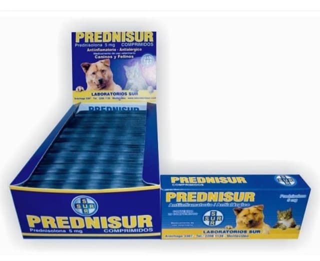 Prednisur 5mg blister x10