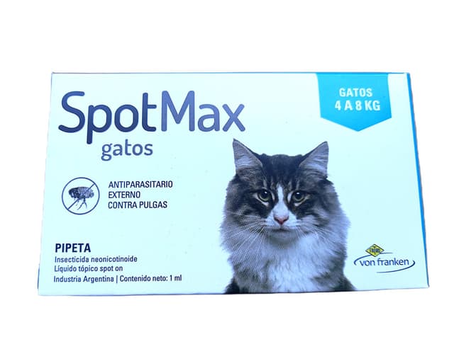 Spot Max Gatos +4K