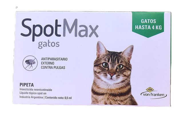Spot Max Gatos -4K